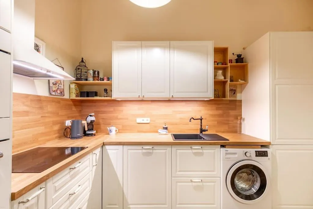 Bourgeois Boheme Apt. 88 M² City Center Budapest